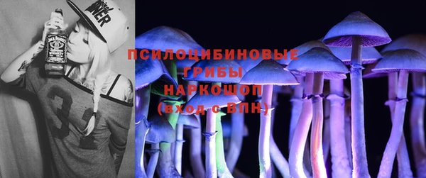 спиды Приозерск