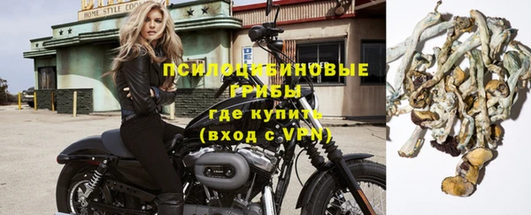 СК Протвино