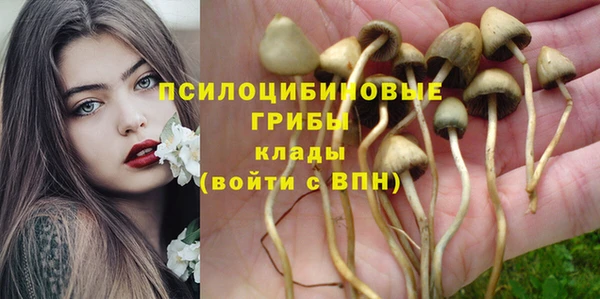 Альфа ПВП Пролетарск