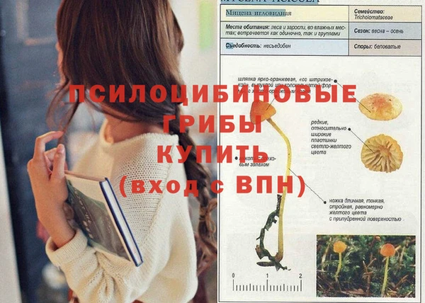 спиды Приозерск